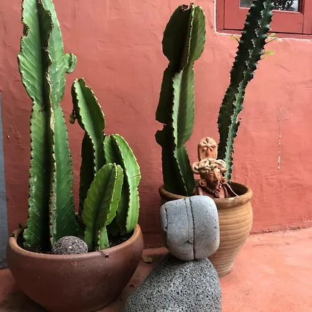 Casa Gomeron * Valle Gran Rey